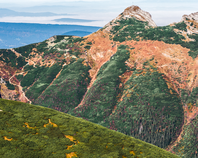 Nazwa:  Tatry110olek-6.JPG
Wyświetleń: 301
Rozmiar:  780,0 KB