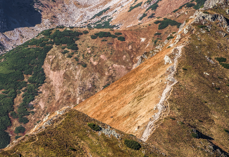 Nazwa:  Tatry110olek-10.JPG
Wyświetleń: 291
Rozmiar:  738,2 KB