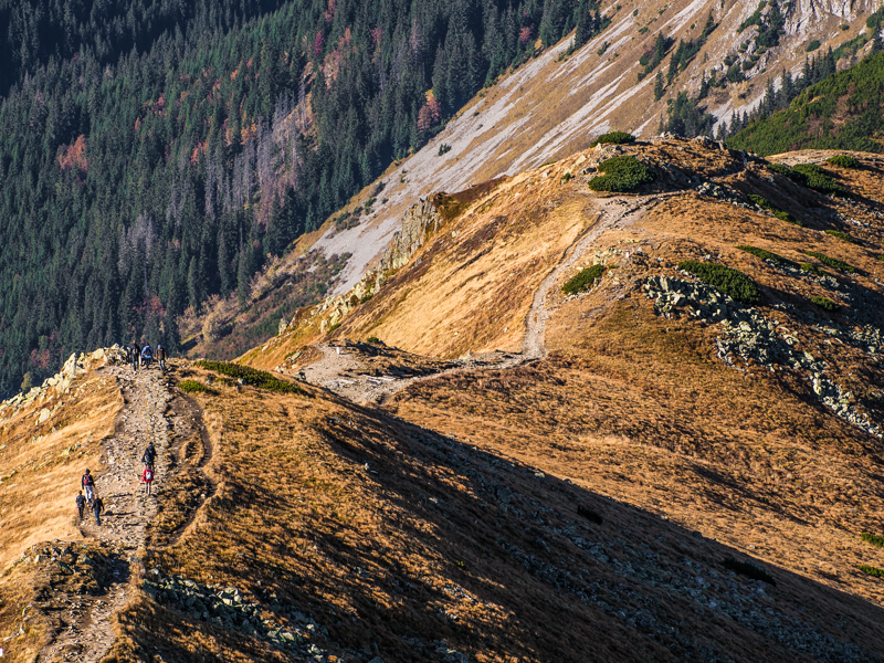 Nazwa:  Tatry110olek-11.JPG
Wyświetleń: 297
Rozmiar:  773,0 KB