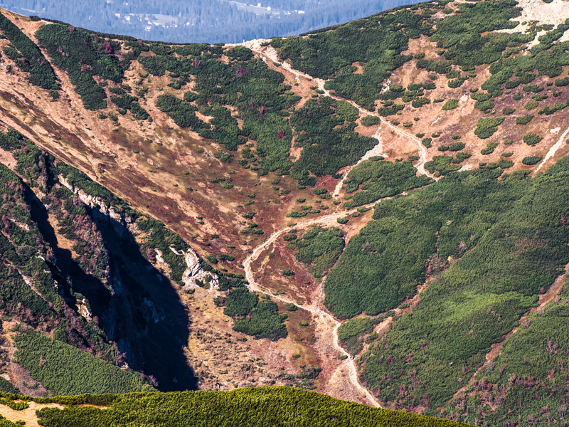 Nazwa:  Tatry110olek-12.JPG
Wyświetleń: 297
Rozmiar:  763,0 KB