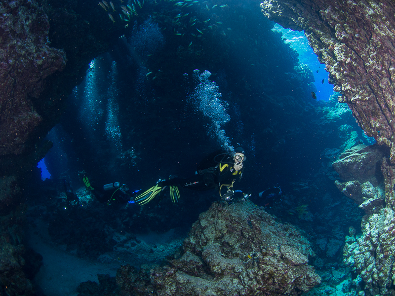 Nazwa:  20131023-094808-PA230041.jpg
Wyświetleń: 172
Rozmiar:  551,8 KB