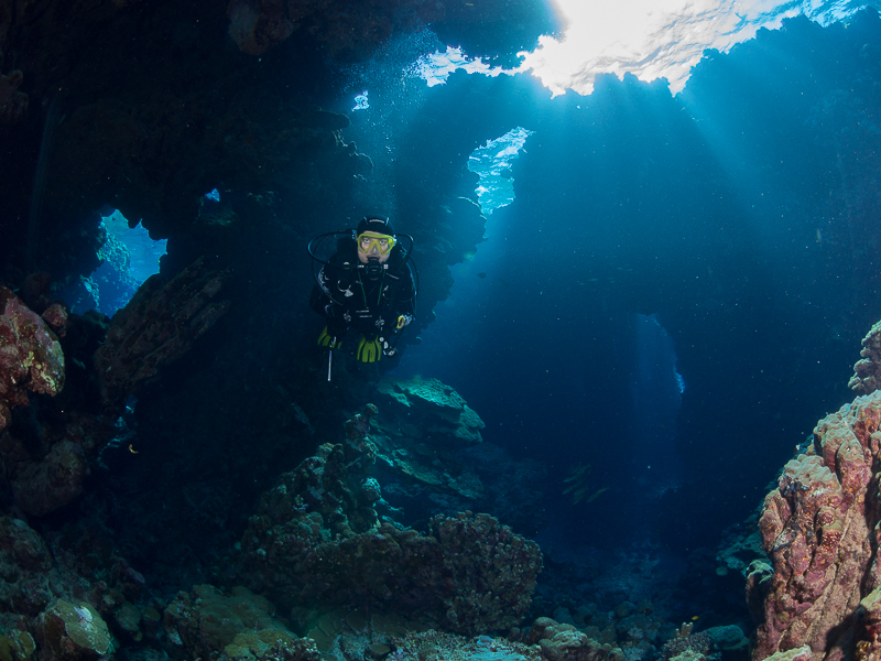 Nazwa:  20131023-095058-PA230052.jpg
Wyświetleń: 167
Rozmiar:  414,8 KB