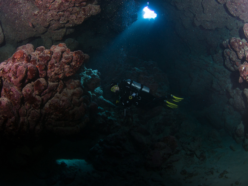 Nazwa:  20131023-095726-PA230068.jpg
Wyświetleń: 168
Rozmiar:  364,9 KB