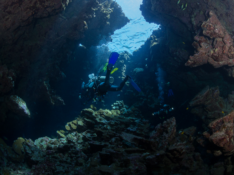 Nazwa:  20131023-095922-PA230077.jpg
Wyświetleń: 173
Rozmiar:  413,0 KB