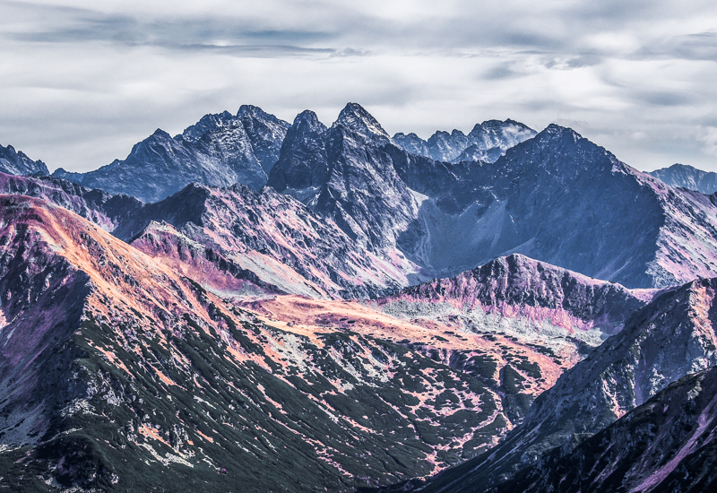 Nazwa:  Tatry131olek-10.JPG
Wyświetleń: 140
Rozmiar:  527,3 KB