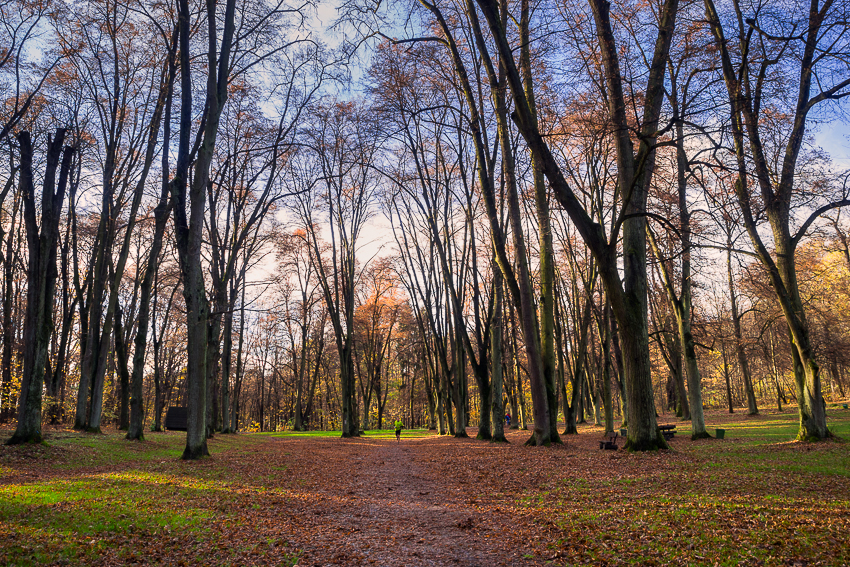 Nazwa:  2013-11-10-14-51_PB100067-Edit.jpg
Wyświetleń: 328
Rozmiar:  896,6 KB