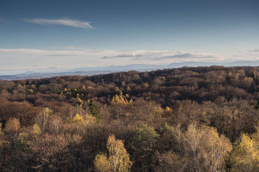 Nazwa:  2013-11-10-16-00_PB100089.jpg
Wyświetleń: 315
Rozmiar:  524,1 KB