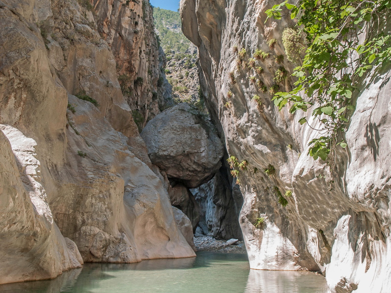 Nazwa:  3.jpg
Wyświetleń: 102
Rozmiar:  386,7 KB