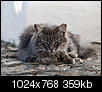Kliknij obrazek, aby uzyskać większą wersję

Nazwa:	StraĹźnik_latarni.jpg
Wyświetleń:	111
Rozmiar:	358,7 KB
ID:	104540
