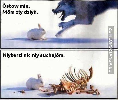 Nazwa:  dzien.jpg
Wyświetleń: 92
Rozmiar:  22,8 KB