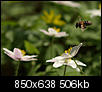 Kliknij obrazek, aby uzyskać większą wersję

Nazwa:	P4210289.jpg
Wyświetleń:	41
Rozmiar:	506,1 KB
ID:	105353