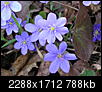 Kliknij obrazek, aby uzyskać większą wersję

Nazwa:	P4090022.JPG
Wyświetleń:	208
Rozmiar:	788,1 KB
ID:	106412