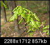 Kliknij obrazek, aby uzyskać większą wersję

Nazwa:	P5070011.JPG
Wyświetleń:	146
Rozmiar:	857,3 KB
ID:	106448