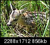 Kliknij obrazek, aby uzyskać większą wersję

Nazwa:	P6190050.JPG
Wyświetleń:	38
Rozmiar:	856,4 KB
ID:	106571