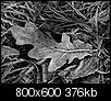 Kliknij obrazek, aby uzyskać większą wersję

Nazwa:	PC250537.jpg
Wyświetleń:	196
Rozmiar:	375,6 KB
ID:	106731