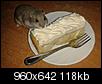 Kliknij obrazek, aby uzyskać większą wersję

Nazwa:	kompan_do_ciastka.jpg
Wyświetleń:	99
Rozmiar:	117,7 KB
ID:	106767