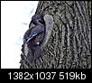 Kliknij obrazek, aby uzyskać większą wersję

Nazwa:	PC280109_popr.jpg
Wyświetleń:	718
Rozmiar:	518,6 KB
ID:	106860