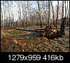 Kliknij obrazek, aby uzyskać większą wersję

Nazwa:	PC313325 - Kopia.jpg
Wyświetleń:	46
Rozmiar:	416,2 KB
ID:	107094