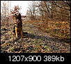 Kliknij obrazek, aby uzyskać większą wersję

Nazwa:	PC313328 - Kopia.jpg
Wyświetleń:	56
Rozmiar:	389,3 KB
ID:	107096
