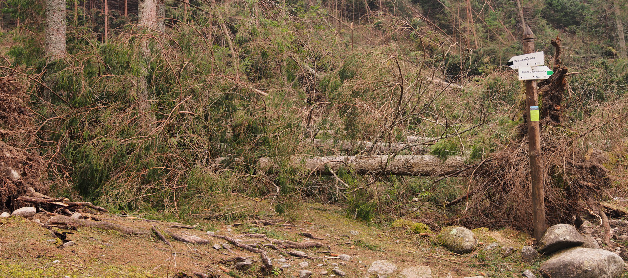 Kliknij obrazek, aby uzyskać większą wersję

Nazwa:	YAMA6225_stitch.jpg
Wyświetleń:	199
Rozmiar:	490,5 KB
ID:	107194