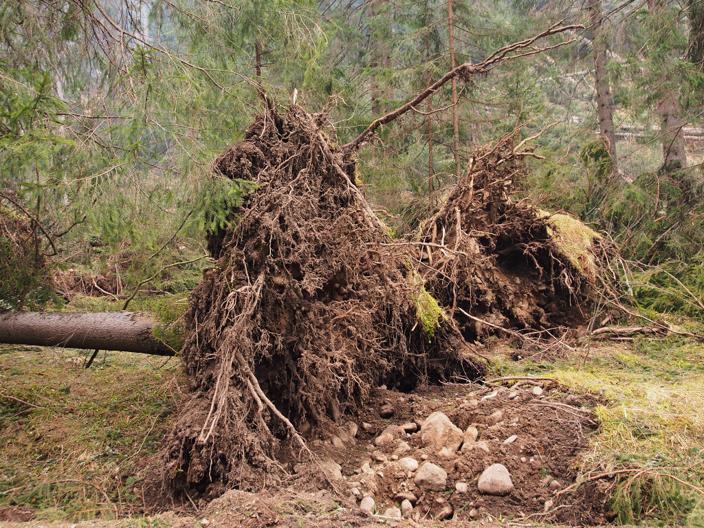 Kliknij obrazek, aby uzyskać większą wersję

Nazwa:	YAMA6214.JPG
Wyświetleń:	202
Rozmiar:	472,0 KB
ID:	107196