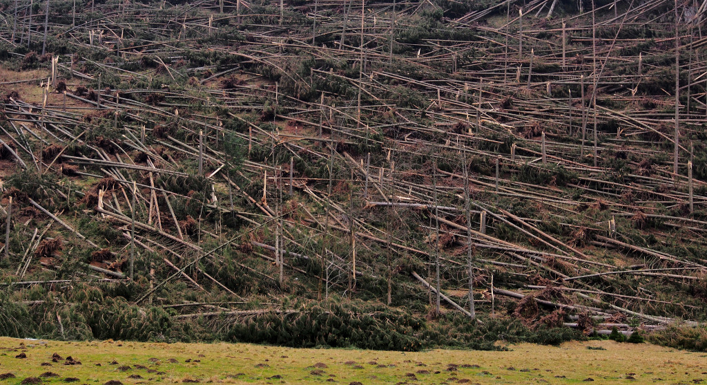 Kliknij obrazek, aby uzyskać większą wersję

Nazwa:	YAMA5972_stitch.jpg
Wyświetleń:	202
Rozmiar:	393,7 KB
ID:	107198