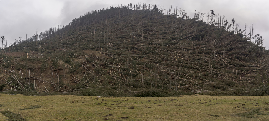 Kliknij obrazek, aby uzyskać większą wersję

Nazwa:	YAMA5967_stitch.jpg
Wyświetleń:	207
Rozmiar:	295,6 KB
ID:	107199