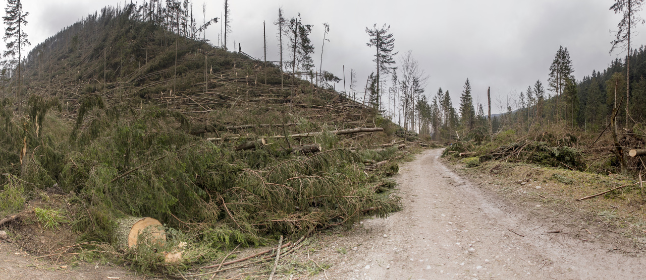 Kliknij obrazek, aby uzyskać większą wersję

Nazwa:	YAMA5954_stitch.jpg
Wyświetleń:	203
Rozmiar:	465,1 KB
ID:	107200