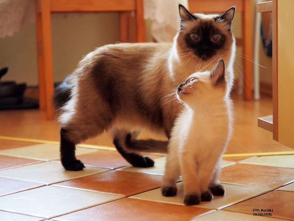 Nazwa:  P1022657.jpg
Wyświetleń: 155
Rozmiar:  299,2 KB