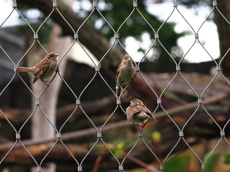 Nazwa:  E8082783.jpg
Wyświetleń: 61
Rozmiar:  156,7 KB