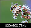 Kliknij obrazek, aby uzyskać większą wersję

Nazwa:	P7160824.jpg
Wyświetleń:	112
Rozmiar:	76,2 KB
ID:	108058