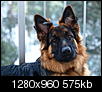 Kliknij obrazek, aby uzyskać większą wersję

Nazwa:	P1223527 - Kopia.jpg
Wyświetleń:	228
Rozmiar:	575,1 KB
ID:	108765