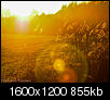 Kliknij obrazek, aby uzyskać większą wersję

Nazwa:	11715192514_da265322bd_h.jpg
Wyświetleń:	87
Rozmiar:	855,2 KB
ID:	109415