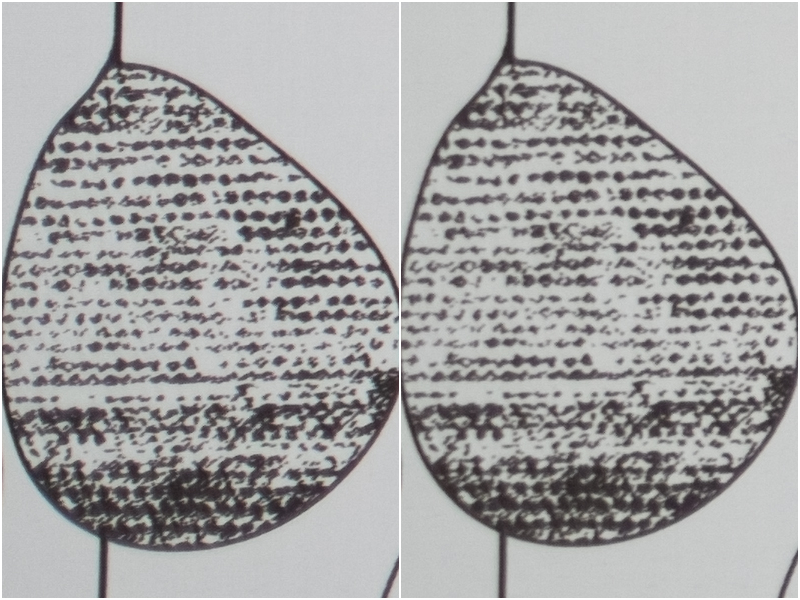 Nazwa:  brzeg.jpg
Wyświetleń: 271
Rozmiar:  388,8 KB