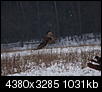 Kliknij obrazek, aby uzyskać większą wersję

Nazwa:	P2020113.jpg
Wyświetleń:	549
Rozmiar:	1,01 MB
ID:	110168