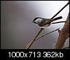 Kliknij obrazek, aby uzyskać większą wersję

Nazwa:	uboga_1000_1.jpg
Wyświetleń:	290
Rozmiar:	362,5 KB
ID:	110316