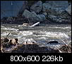Kliknij obrazek, aby uzyskać większą wersję

Nazwa:	P1172812e.jpg
Wyświetleń:	59
Rozmiar:	225,6 KB
ID:	110539