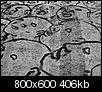 Kliknij obrazek, aby uzyskać większą wersję

Nazwa:	CM042664min.jpg
Wyświetleń:	408
Rozmiar:	406,4 KB
ID:	110569