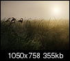 Kliknij obrazek, aby uzyskać większą wersję

Nazwa:	_8154664k.jpg
Wyświetleń:	66
Rozmiar:	355,1 KB
ID:	111173