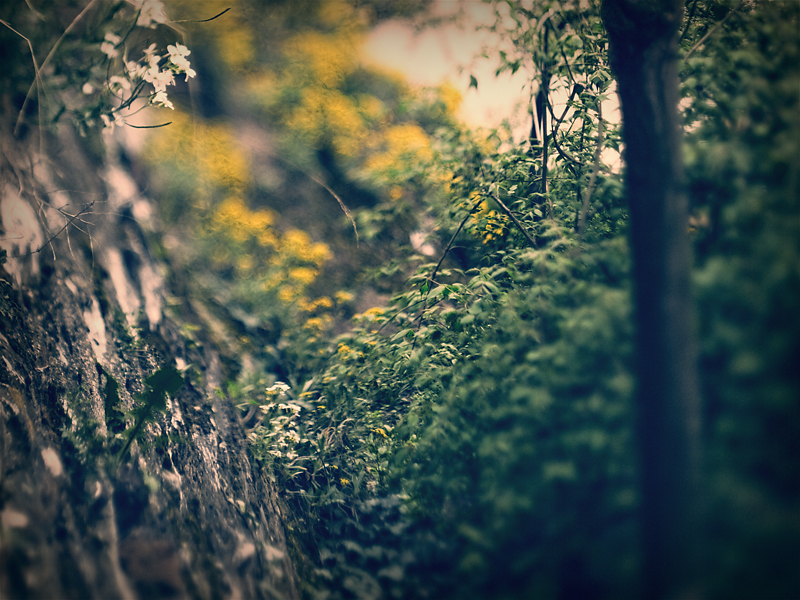 Nazwa:  P1070481.jpg
Wyświetleń: 171
Rozmiar:  498,1 KB