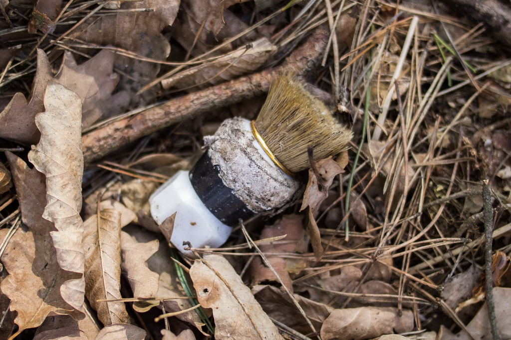 Nazwa:  MISE0951.jpg
Wyświetleń: 195
Rozmiar:  333,6 KB