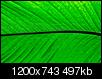 Kliknij obrazek, aby uzyskać większą wersję

Nazwa:	a2.jpg
Wyświetleń:	282
Rozmiar:	497,1 KB
ID:	112870
