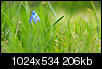 Kliknij obrazek, aby uzyskać większą wersję

Nazwa:	P3232468.JPG
Wyświetleń:	55
Rozmiar:	205,7 KB
ID:	113394