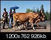 Kliknij obrazek, aby uzyskać większą wersję

Nazwa:	17.jpg
Wyświetleń:	320
Rozmiar:	926,5 KB
ID:	113425