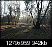 Kliknij obrazek, aby uzyskać większą wersję

Nazwa:	P3263933 - Kopia.jpg
Wyświetleń:	70
Rozmiar:	341,8 KB
ID:	113564