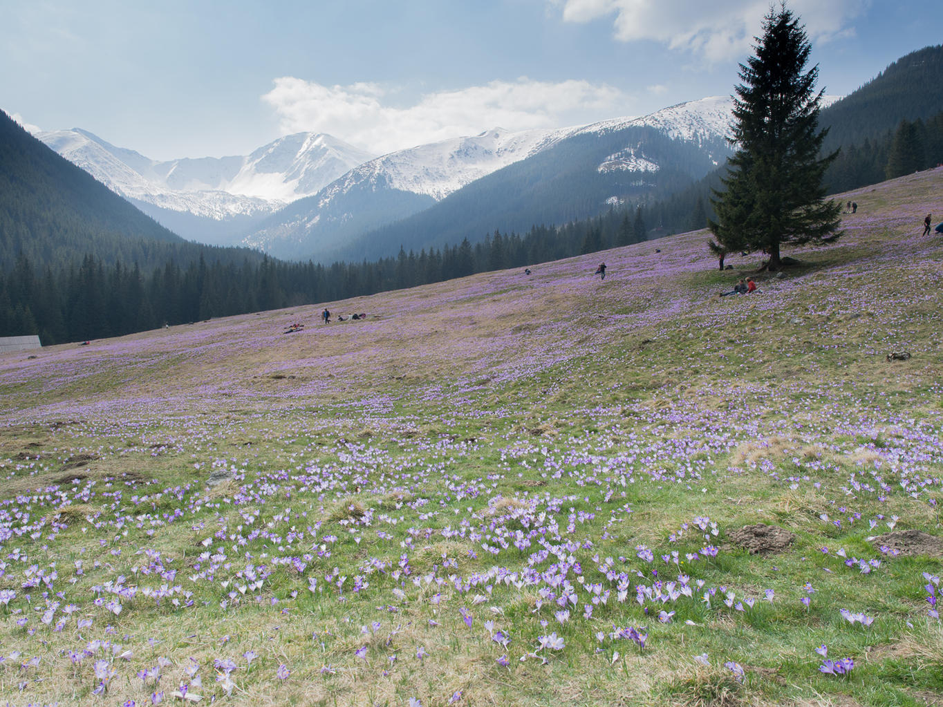 Nazwa:  R3301002_min.jpg
Wyświetleń: 82
Rozmiar:  370,4 KB