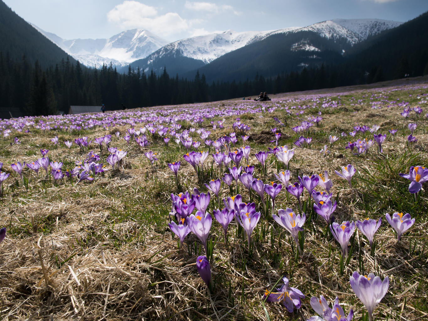 Nazwa:  R3301011_min.jpg
Wyświetleń: 86
Rozmiar:  417,2 KB