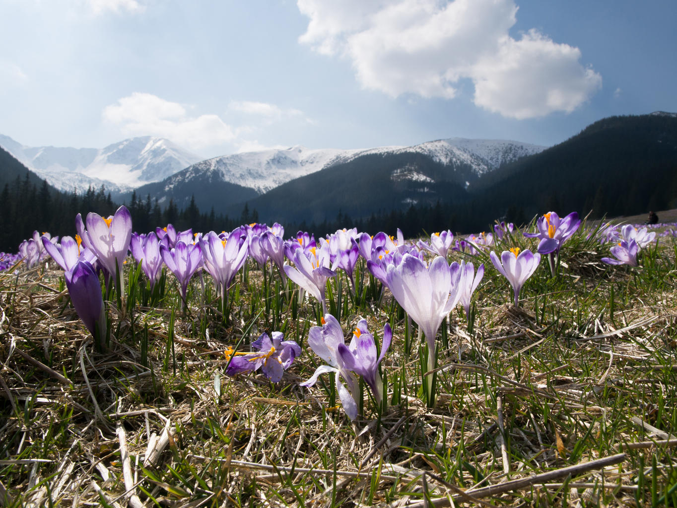 Nazwa:  R3301014_min.jpg
Wyświetleń: 88
Rozmiar:  326,5 KB