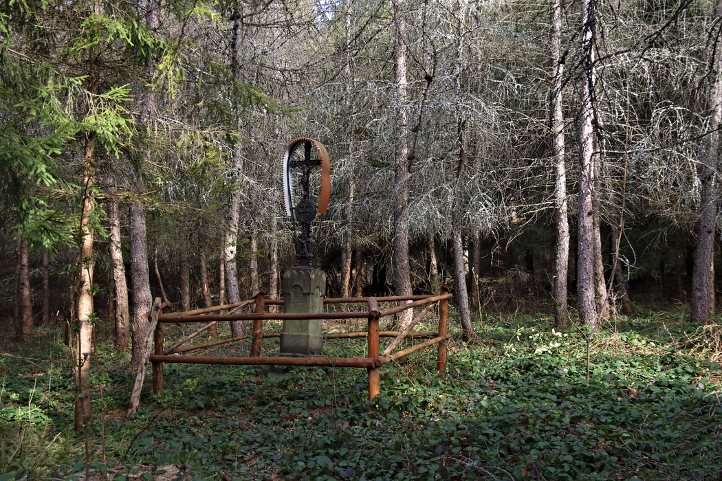 Kliknij obrazek, aby uzyskać większą wersję
Nazwa:	P4050040ol.jpg
Wyświetleń:	163
Rozmiar:	448,0 KB
ID:	114429