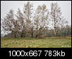 Kliknij obrazek, aby uzyskać większą wersję

Nazwa:	DSC00207IN.jpg
Wyświetleń:	193
Rozmiar:	783,4 KB
ID:	114454
